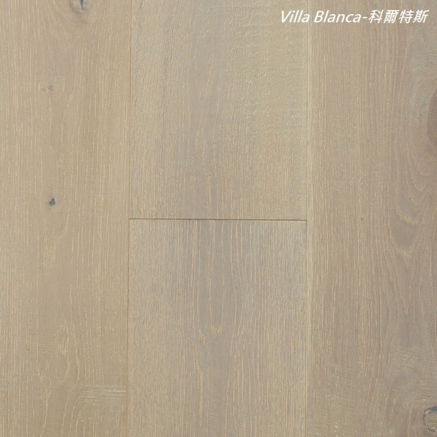 Villa Blanca_171114_0009.jpg