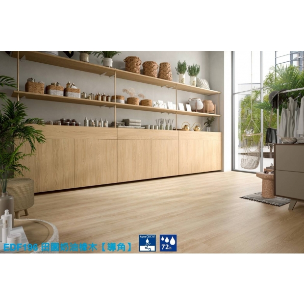 EDF196.jpg EDF196.jpg