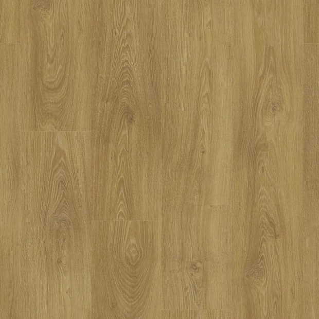 SF003-4V-European-Oak-歐洲橡木-1024x1024.jpg SF003-4V-European-Oak-歐洲橡木-1024x1024.jpg