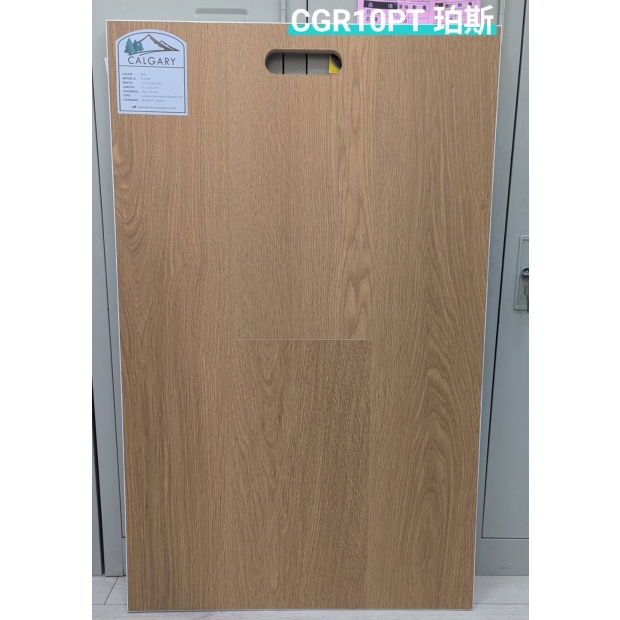 CGR10PT 珀斯 展板-2.jpg