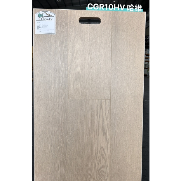 CGR10HV 哈維 展板-1.jpg