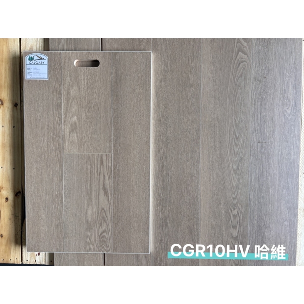CGR10HV 哈維 展板_地板.jpg
