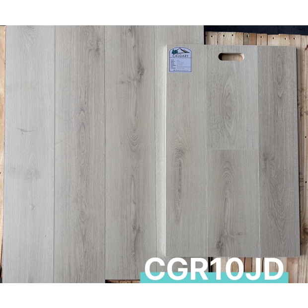 CGR10JD 江達 展板_地板.jpg