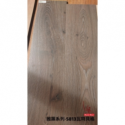 S813.01.01.jpg