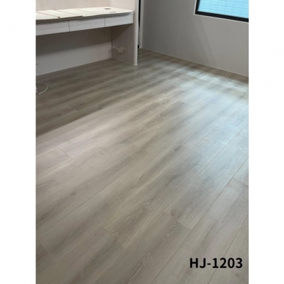 hj-1203.02.jpg