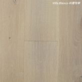1166B_科爾特斯