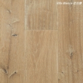 1166C_拉古娜
