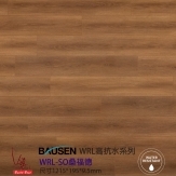 WRLSO桑福德