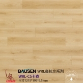 WRLCS卡森