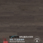 WRLTC金銀海岸