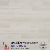 WRLSF斯坦福